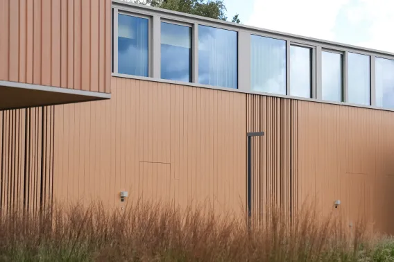 A wooden cladding of a modern building with glass windows at the top and bushes at the bottom
