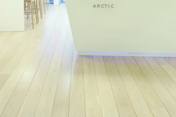 Company offices