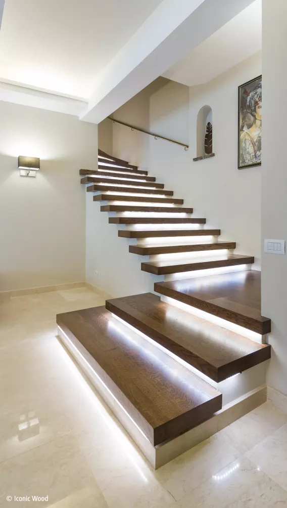 Dark wooden staircase with led lights