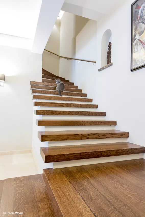 Dark wooden staircase with cat