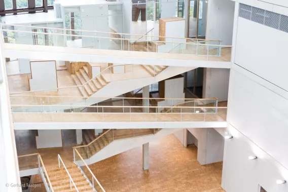 Several staircases and walking bridges inside a large building