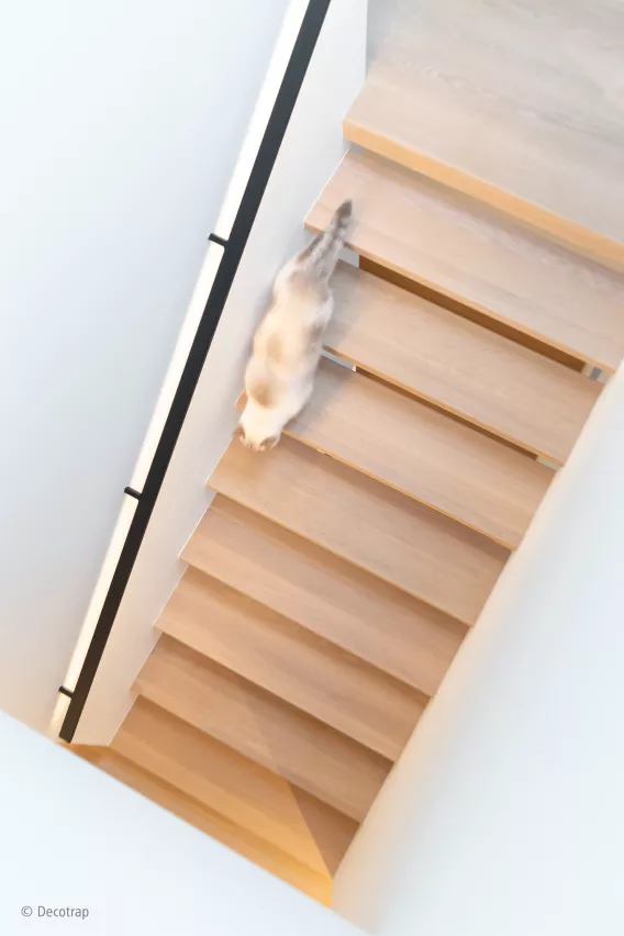 Floating staircase seen from above with a cat walking the stairs
