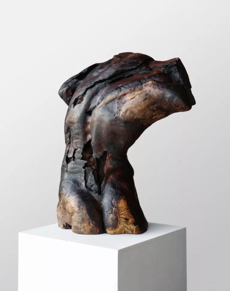 Justin M Zielke | Wood Torso
