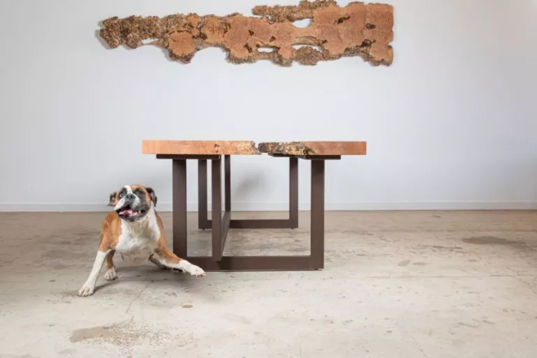 Kristopher Kirkpatrick - Live edge Slab Table